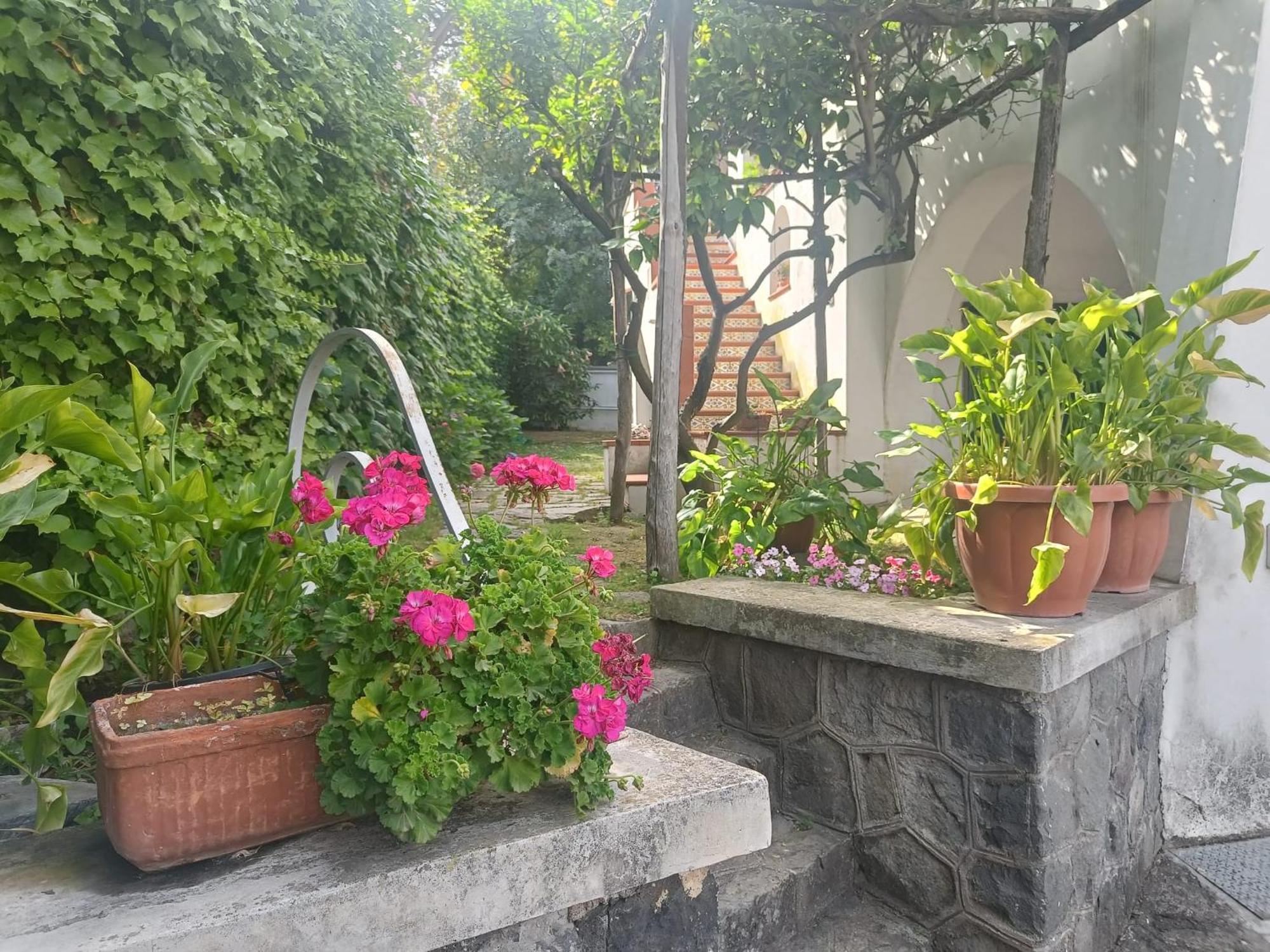 דירות טורה דל גרקו Casa Olivella מראה חיצוני תמונה